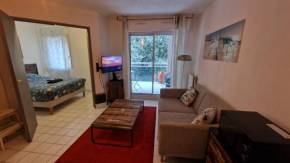 Cosy appartement Beaux-Art à 5min du Corum